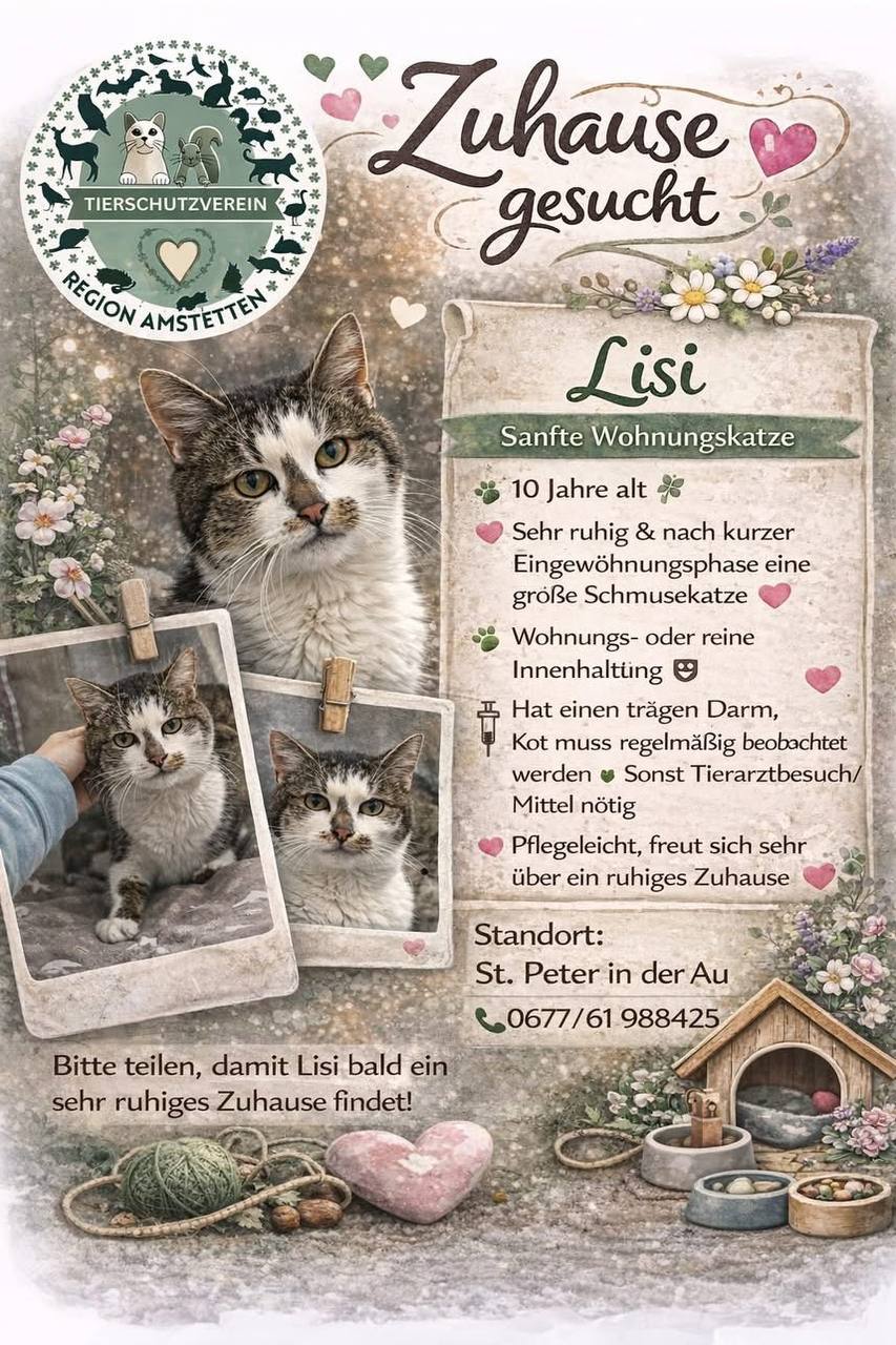 Lisi