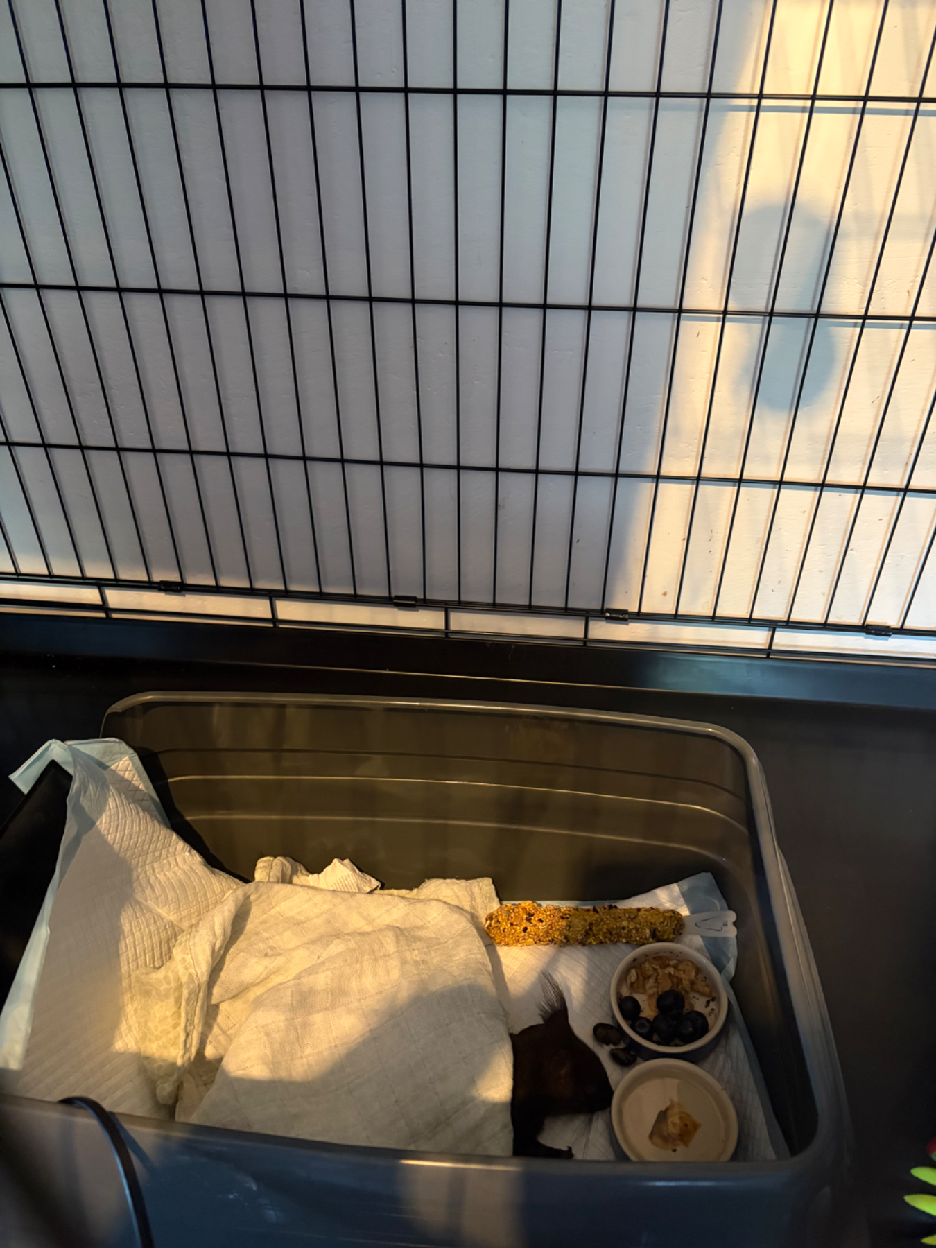Vorschaubild 3