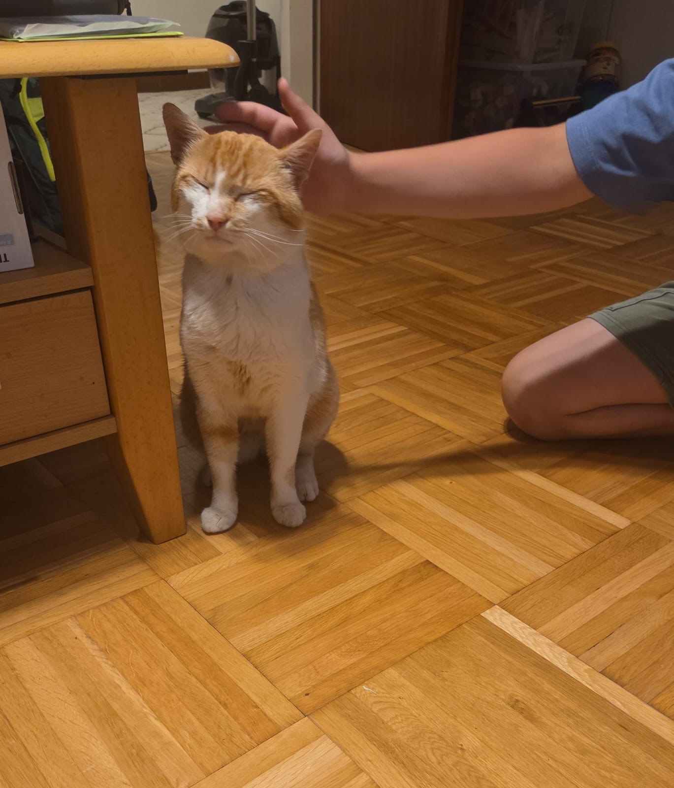 Nemo