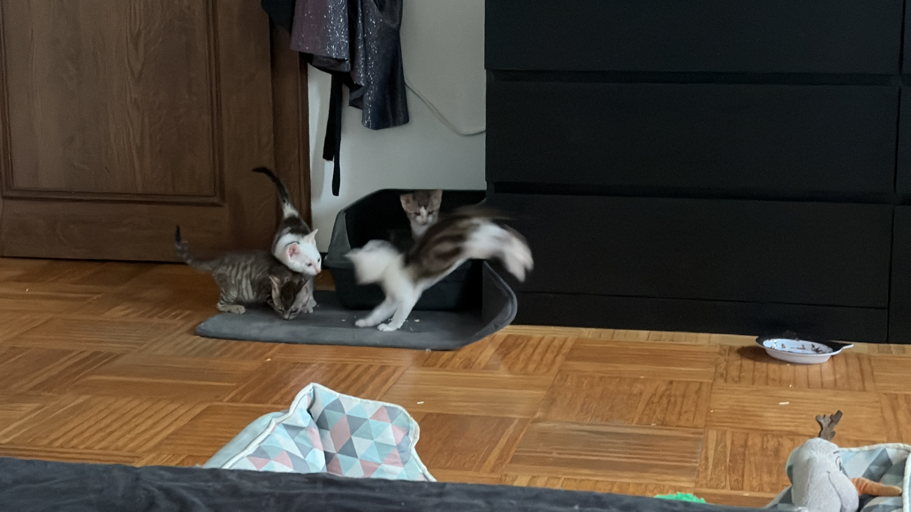 Vorschaubild 2
